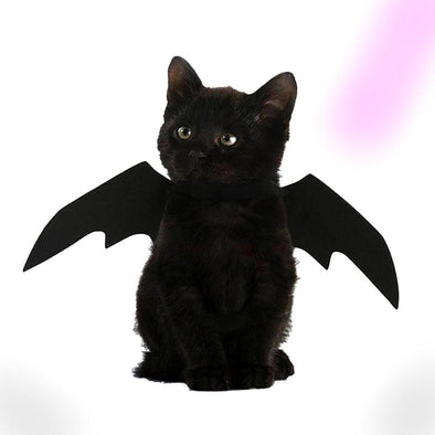 Cute Bat Wings