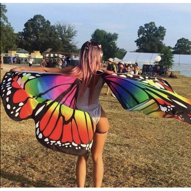 Multi-Color Butterfly Wings