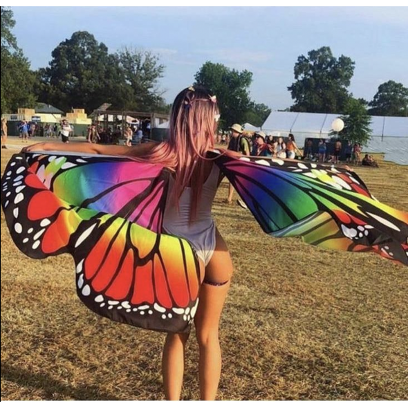 Multi-Color Butterfly Wings