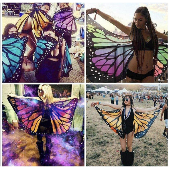 Multi-Color Butterfly Wings